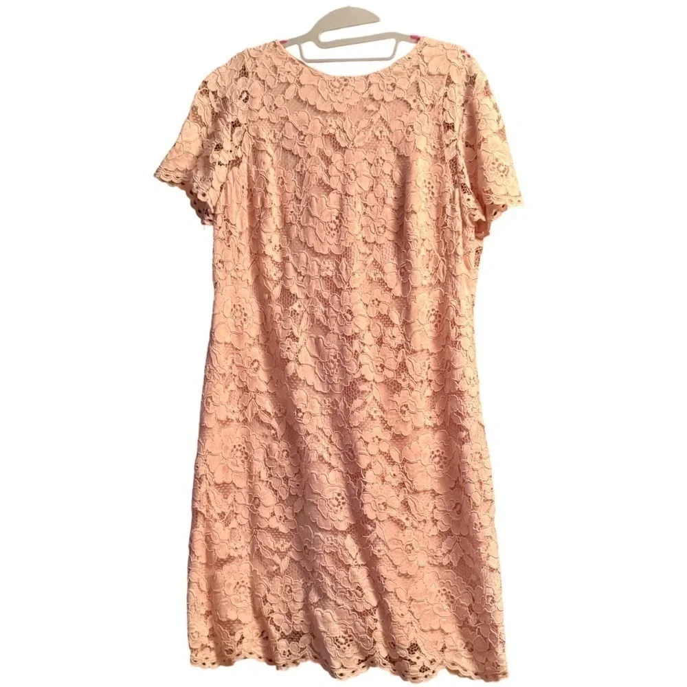 Lauren Ralph Lauren Pale Pink Lace Dress Sz 16 - Picture 1 of 5